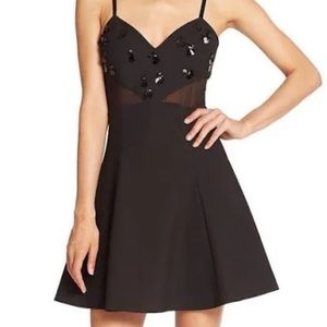 Black Mesh/Sequence Skater Dress Elizabeth and James